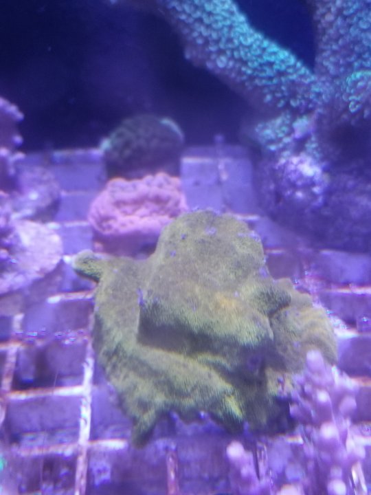 20200816_233832.jpg