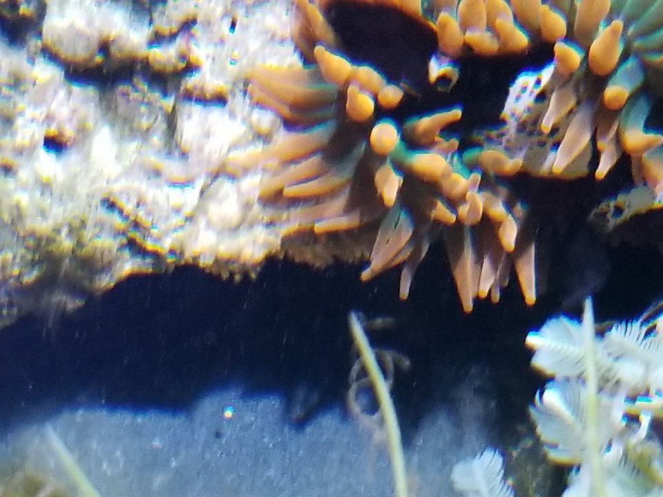 20200825_214241.jpg