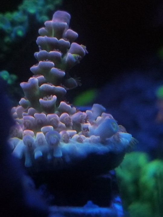 20200829_010958.jpg