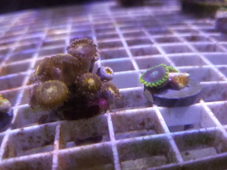 20200902_190447.jpg