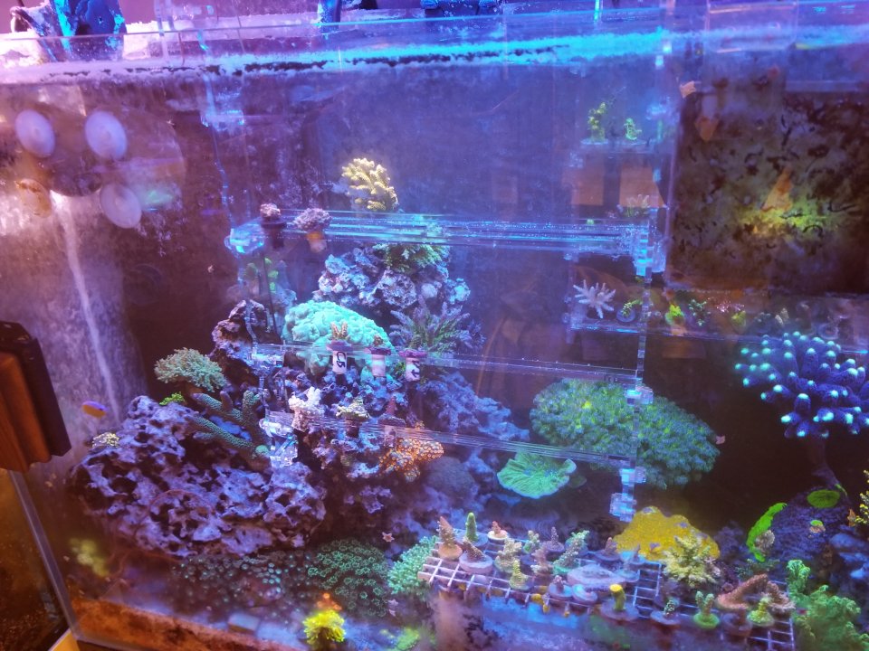 20200902_190501.jpg