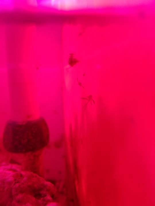 20200902_212724.jpg