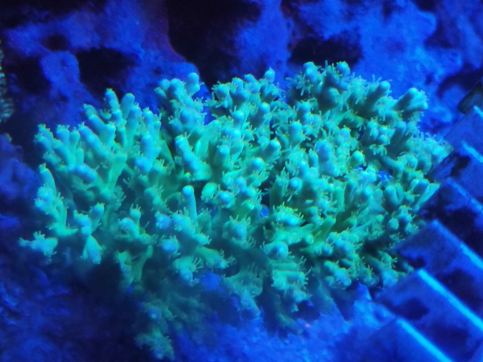 20200904_004108.jpg