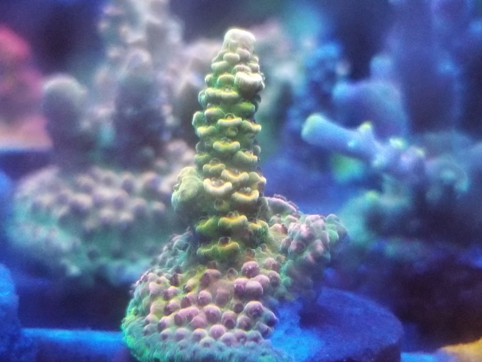 20200904_004245.jpg