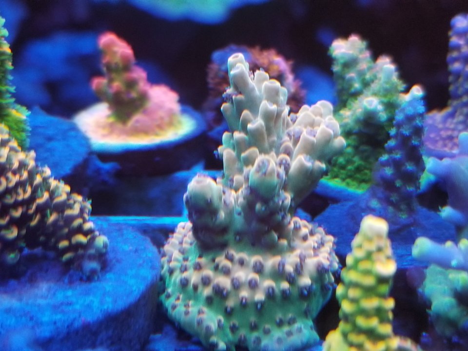 20200904_004254.jpg