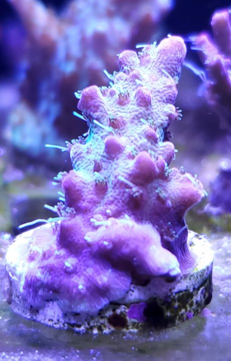 20200905_182302.jpg