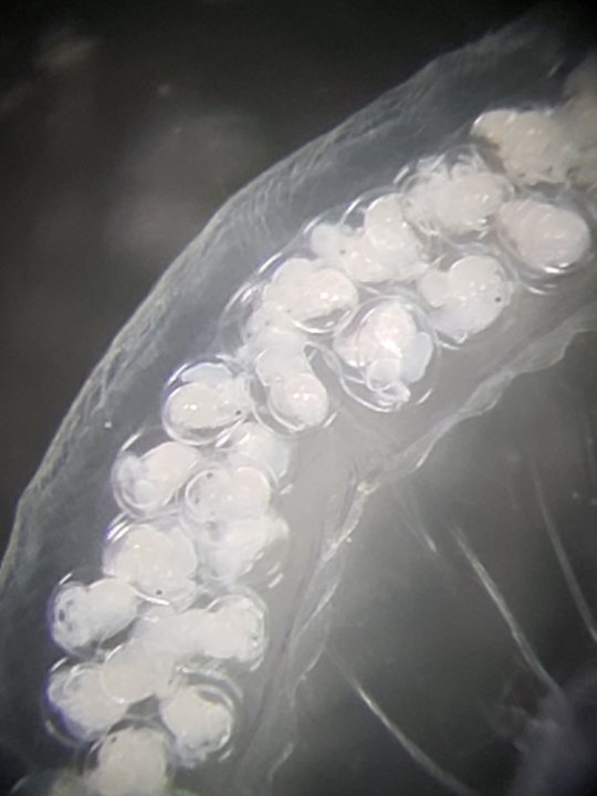 20200908_140153.jpg