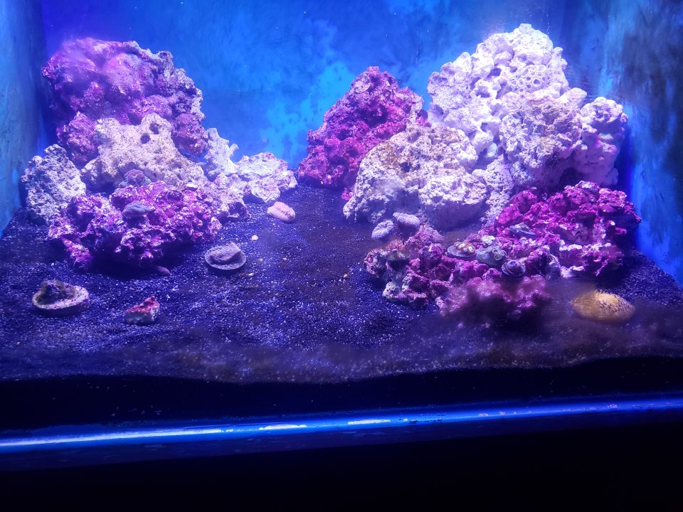 20200923_201342.jpg
