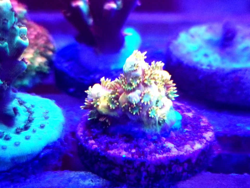 20200925_010945.jpg