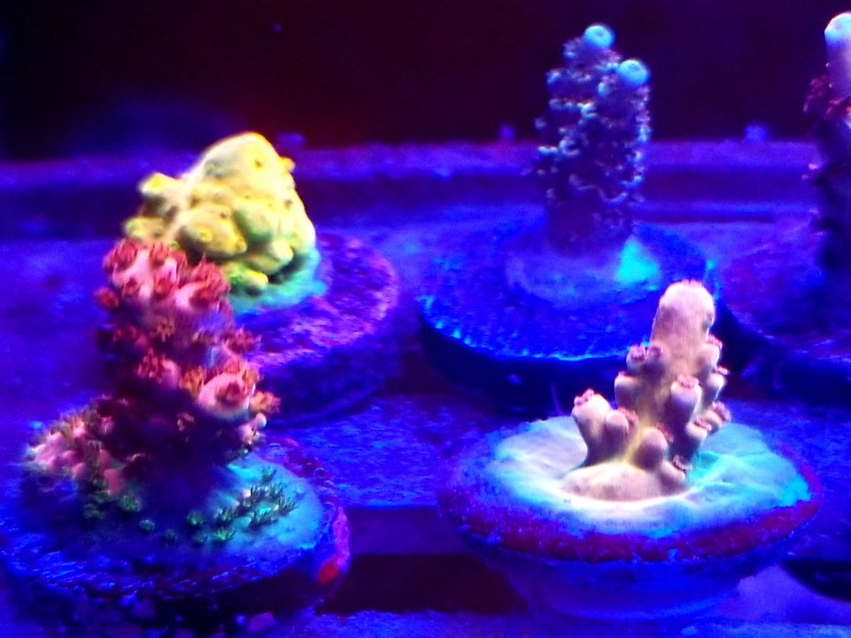 20200925_011008.jpg
