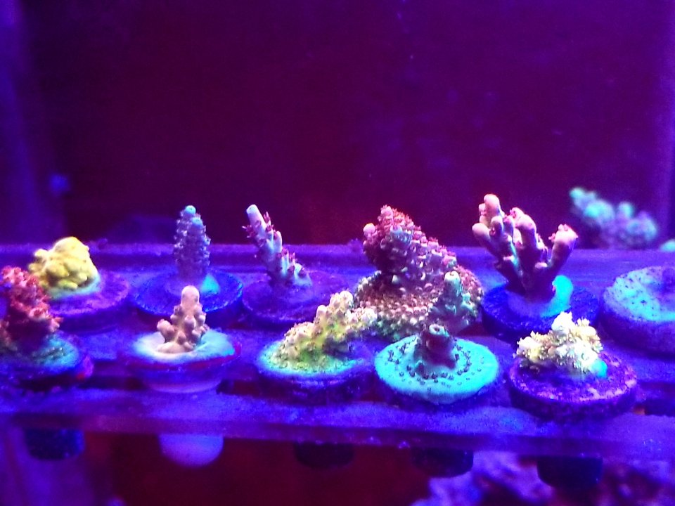 20200925_011019.jpg