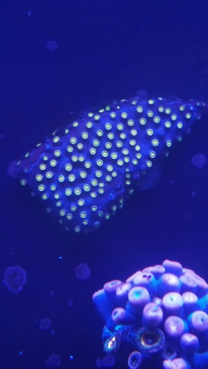 20200925_223444.jpg