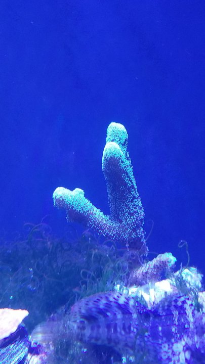 20201006_171846.jpg