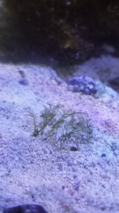 20201006_175217.jpg