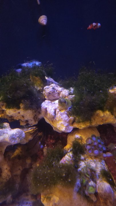 20201007_073248.jpg