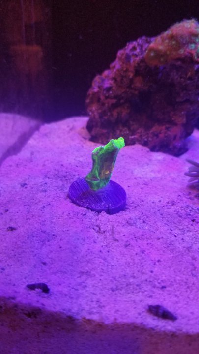 20201007_203634.jpg