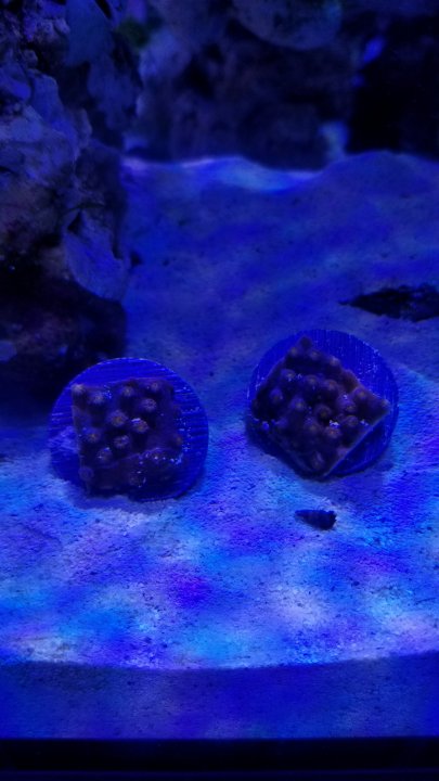 20201008_172857.jpg
