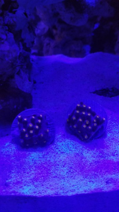 20201008_194815.jpg