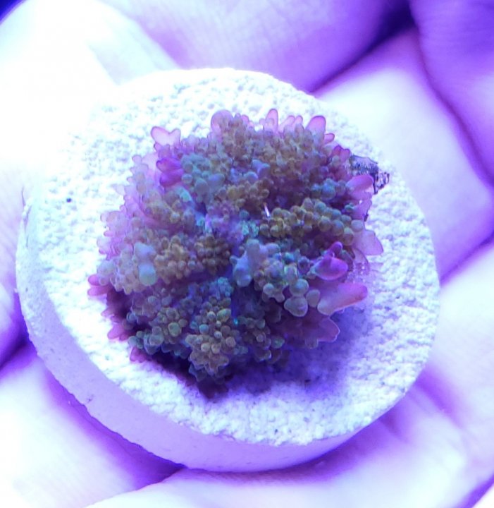 20201008_211507.jpg
