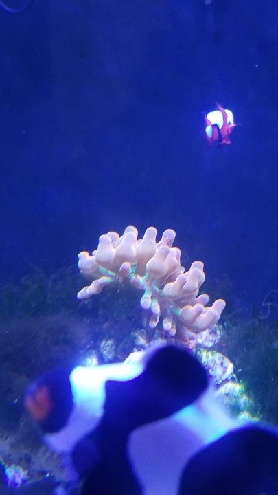 20201009_151045.jpg