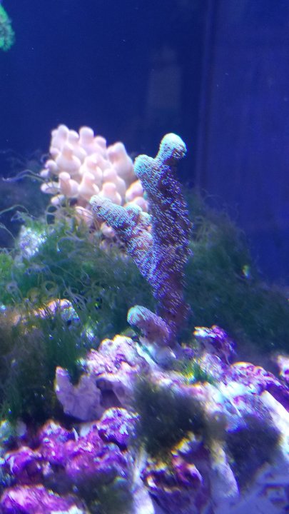 20201009_151108.jpg