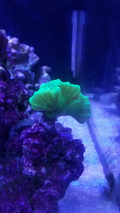 20201009_151407.jpg