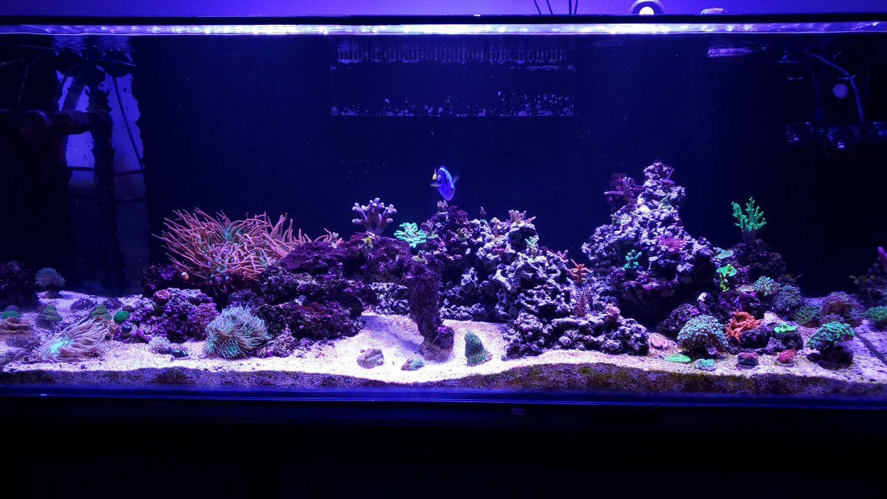 20201010_200243.jpg