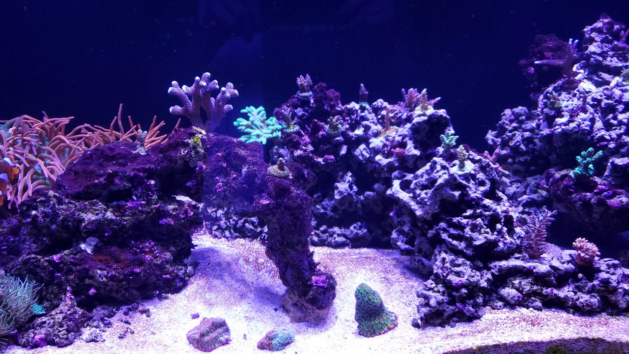 20201010_200256.jpg