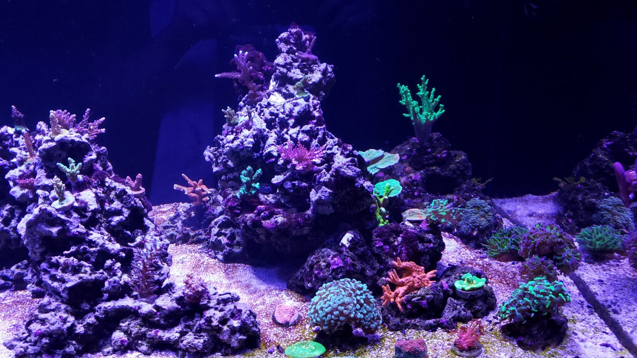 20201010_200300.jpg
