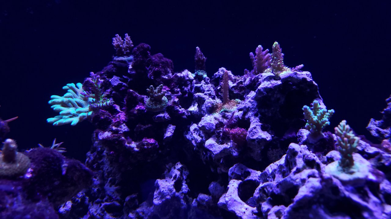 20201010_200808.jpg