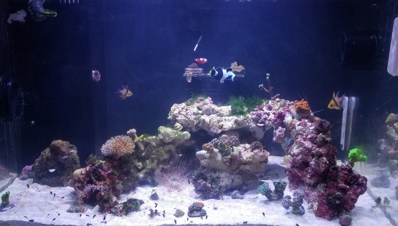 20201015_190833.jpg