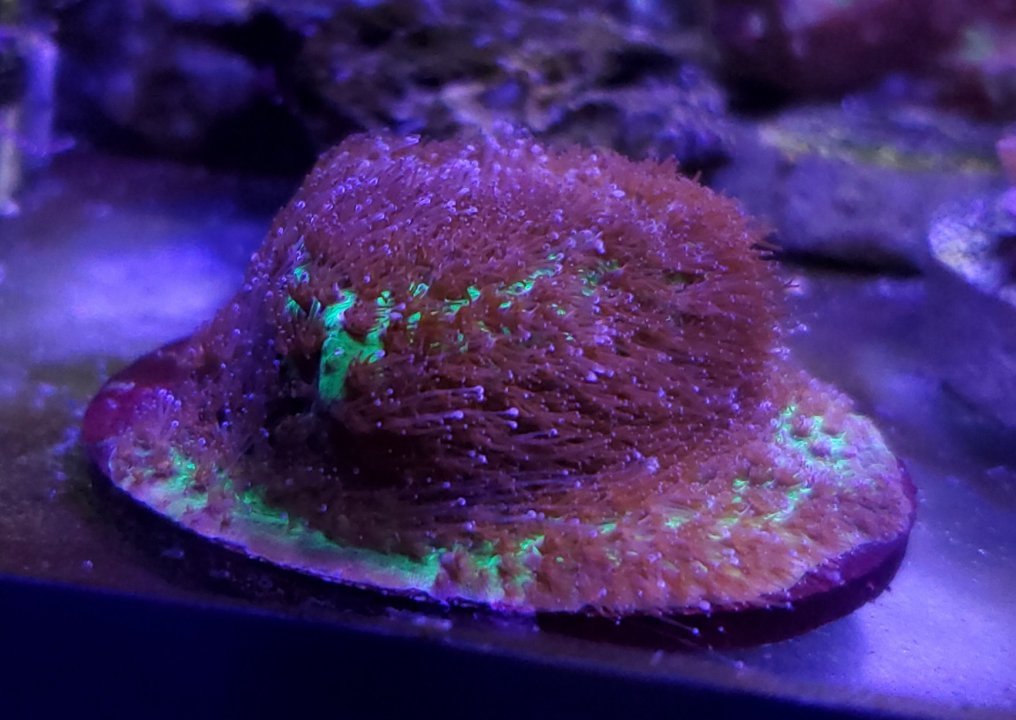 20201016_204451.jpg