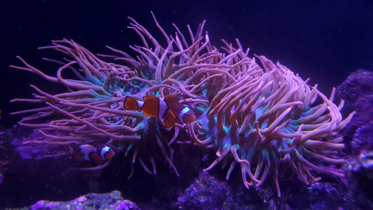 20201017_202734.jpg