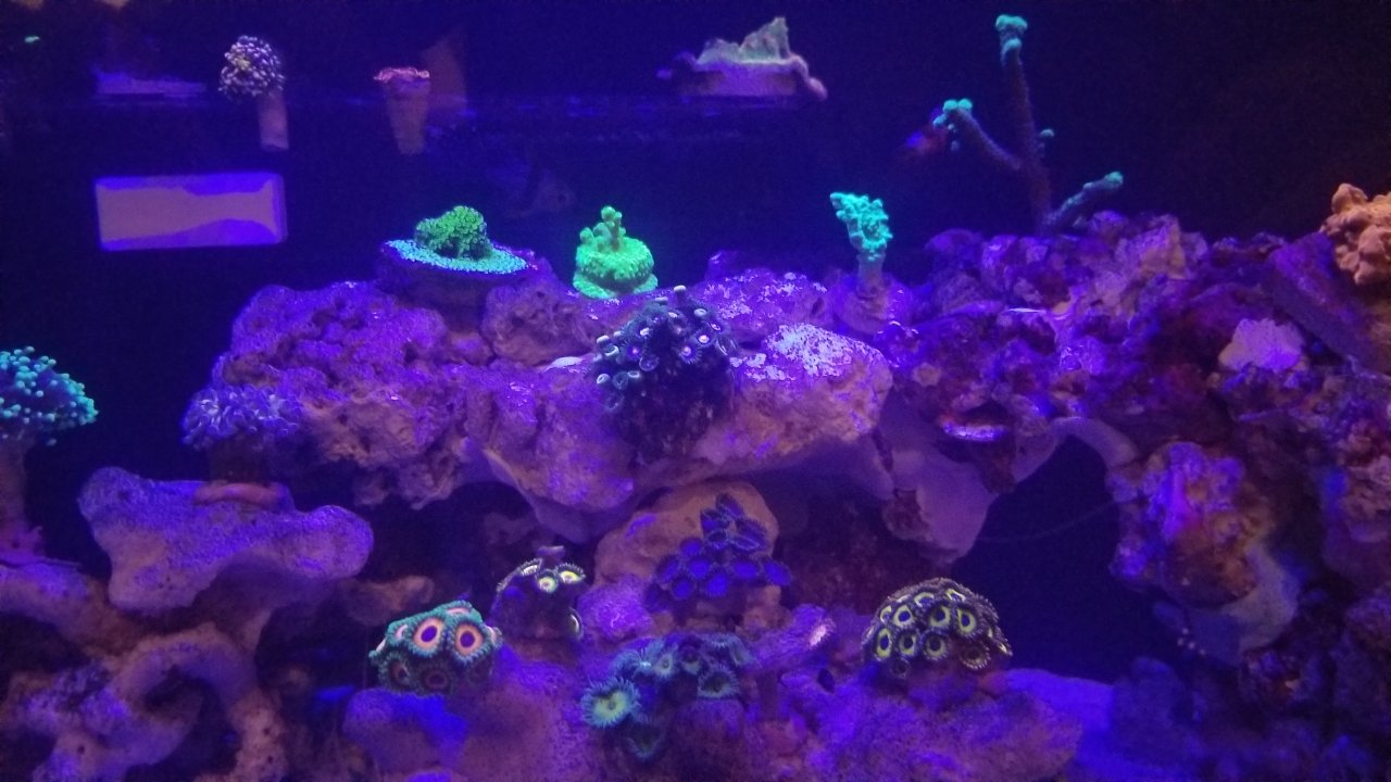 20201022_072021.jpg