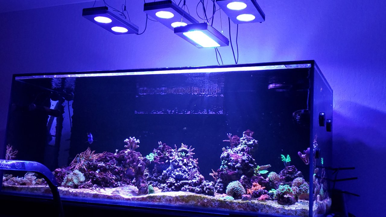 20201023_185133.jpg