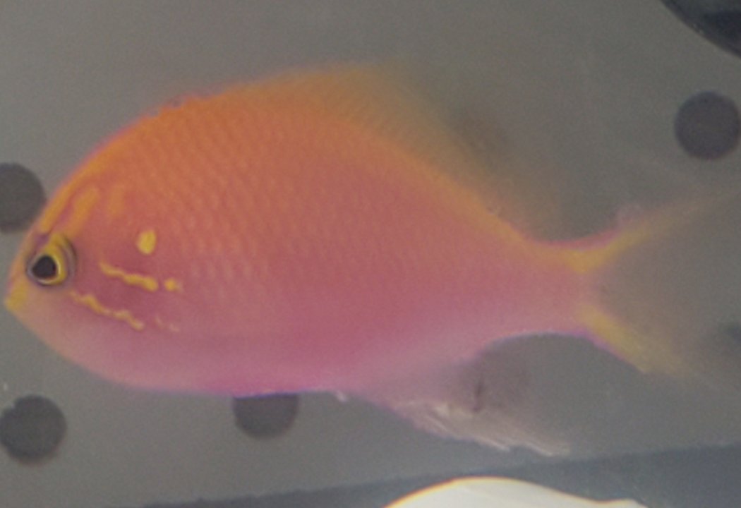 20201028_175350.jpg