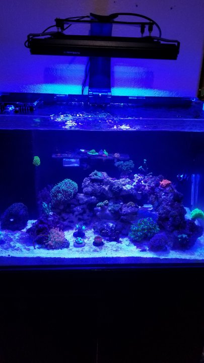 20201101_171819.jpg