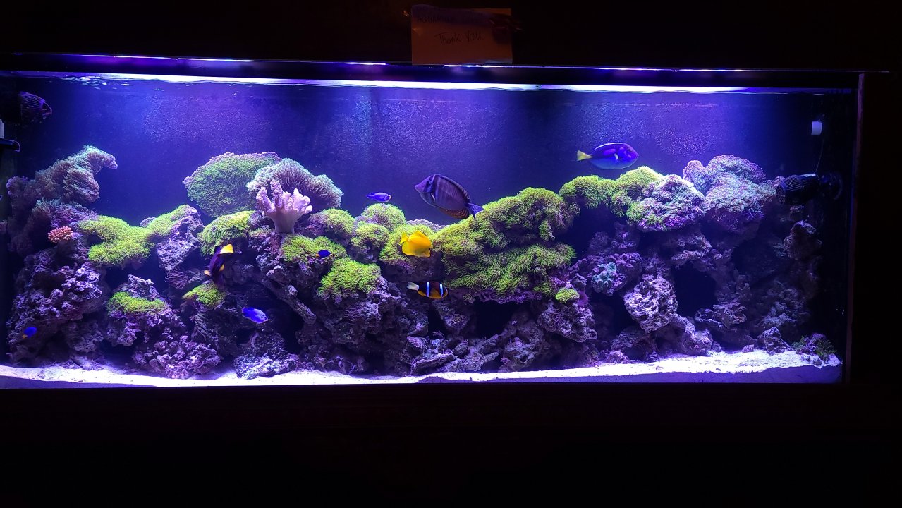 20201102_190247.jpg