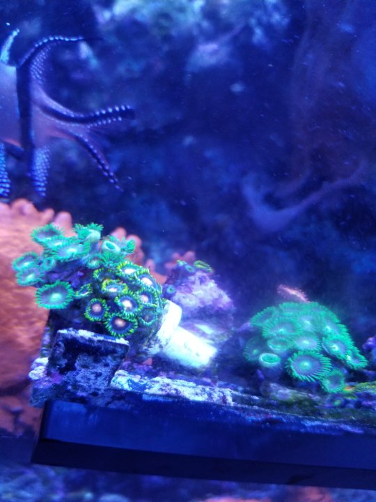 20201108_125652.jpg