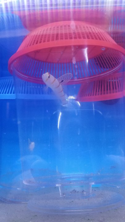 20201108_131557.jpg