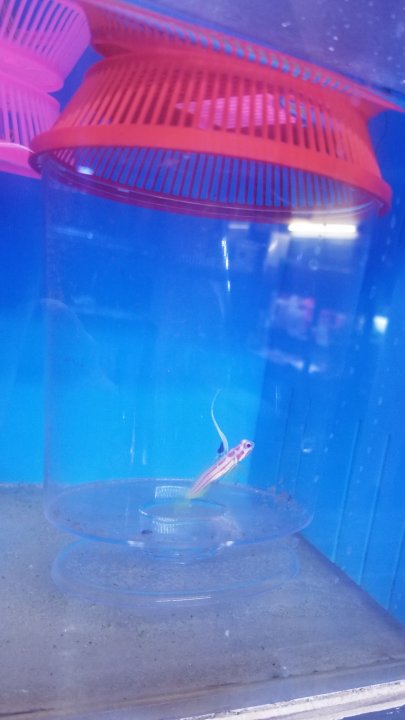 20201108_131614.jpg