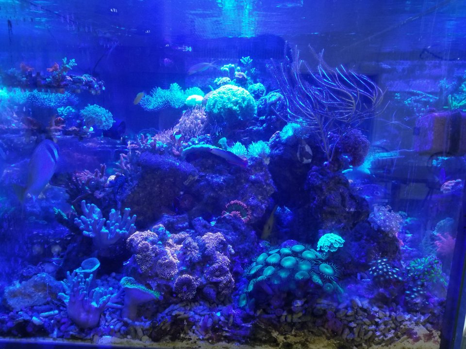 20201112_115906.jpg
