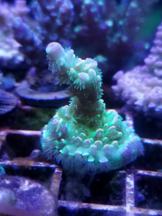 20201116_135046.jpg