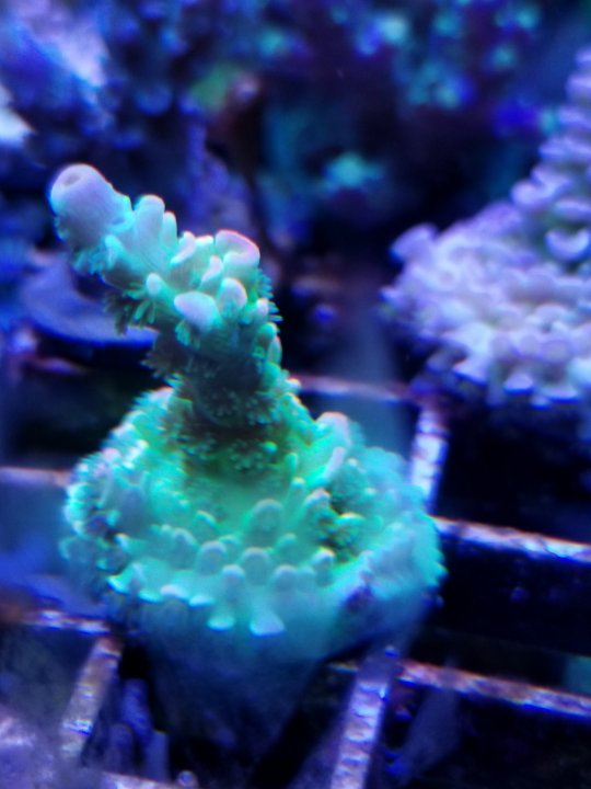 20201119_152002.jpg