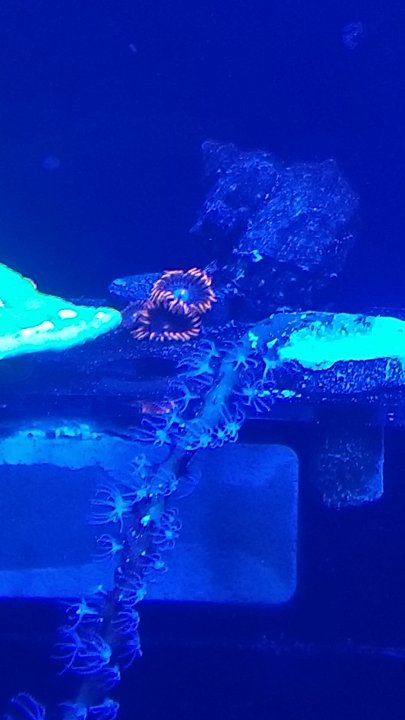 20201119_202247.jpg