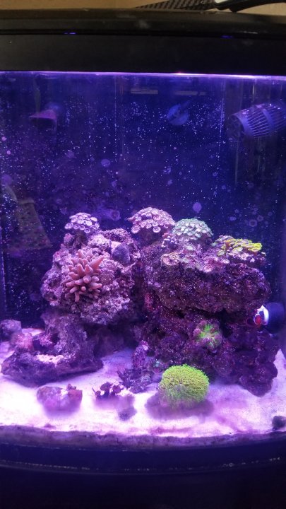 20201121_103728.jpg