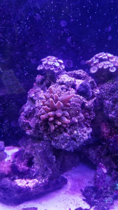 20201121_103734.jpg