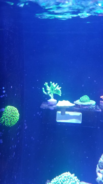 20201122_182752.jpg