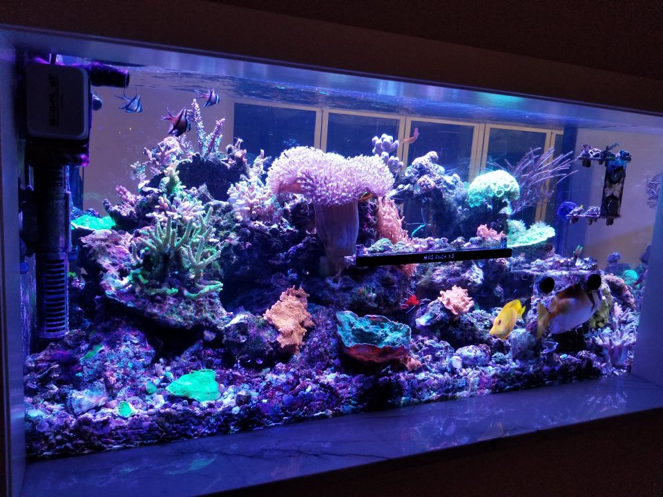 20201123_180505.jpg