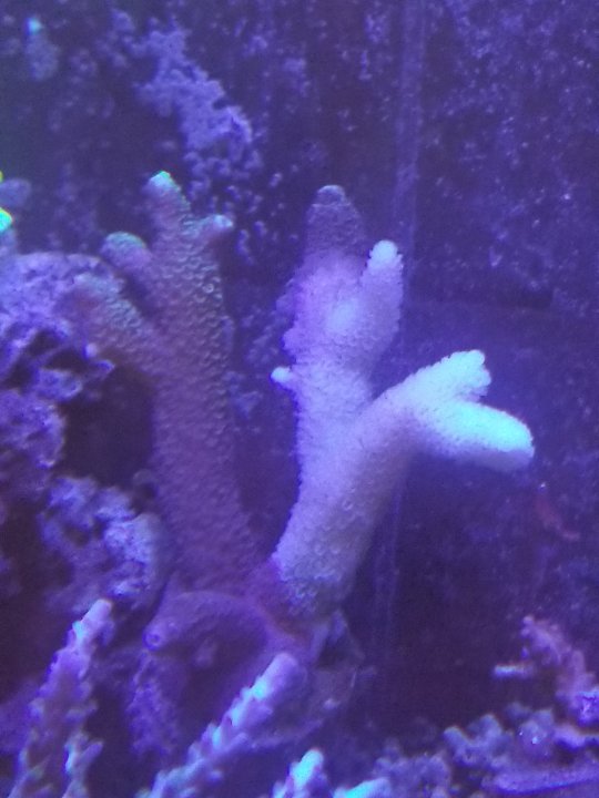 20201125_092616.jpg